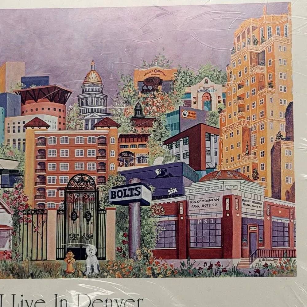 Elizabeth Nelson I Live In Denver 5x7 Note Cards Sealed 40-50 Est NOS